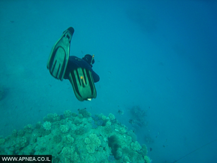    2  - APNEA -  ,   - 004