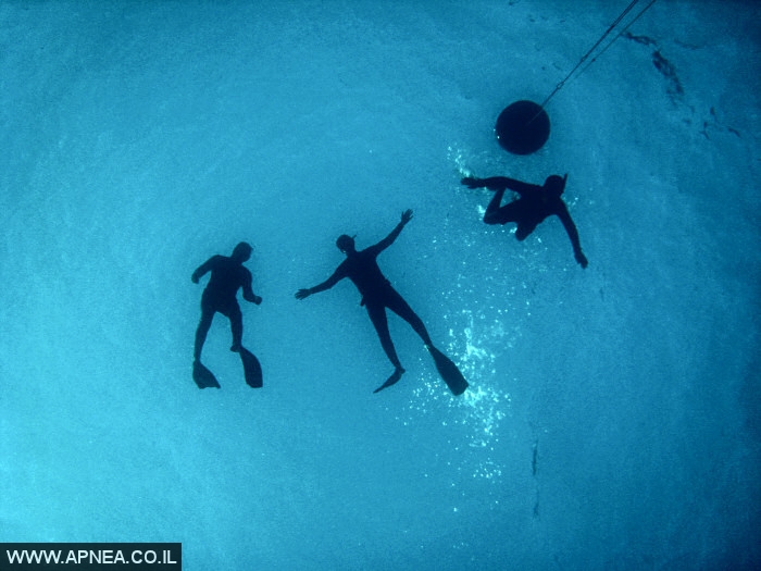    2  - APNEA -  ,   - 025