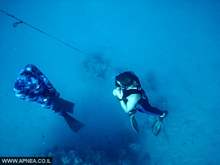    2  - APNEA -  , ,   - 003