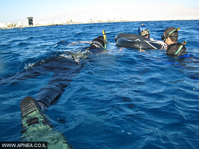    2  - APNEA -  , ,   - 004