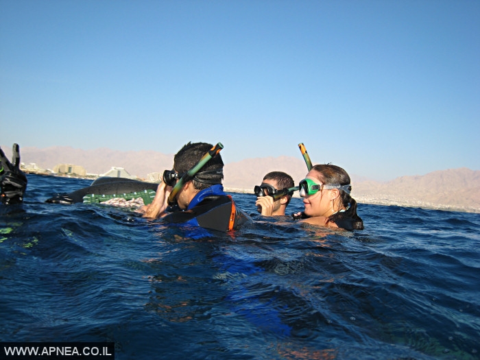    2  - APNEA -  , ,   - 007