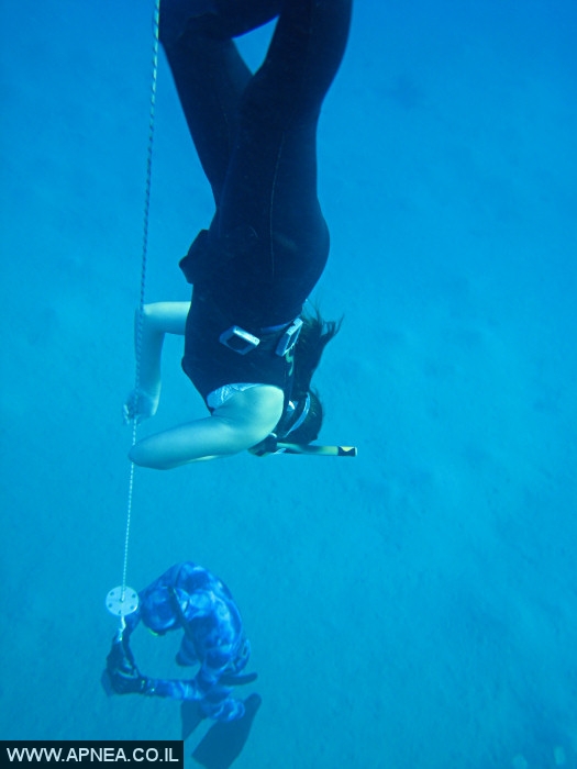    2  - APNEA -  , ,   - 009