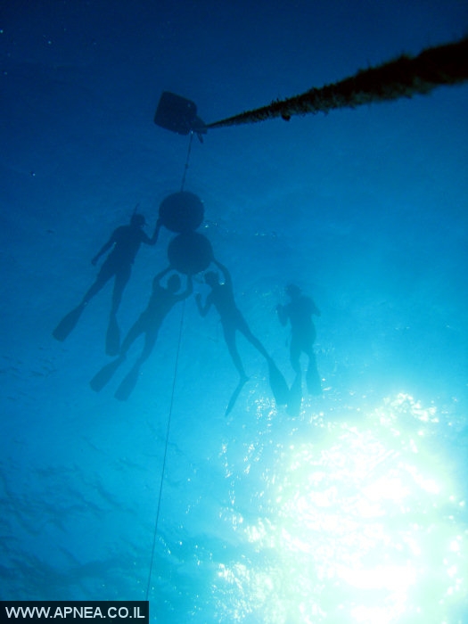    2  - APNEA -  , ,   - 015