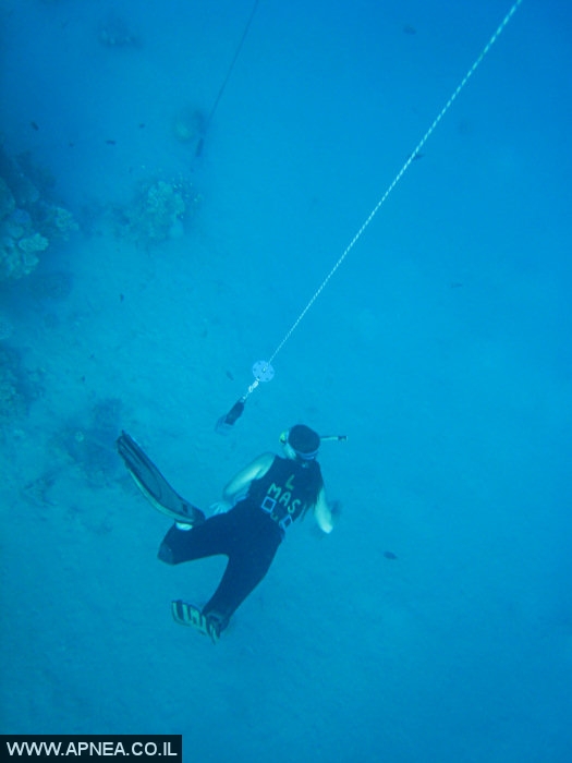    2  - APNEA -  , ,   - 016