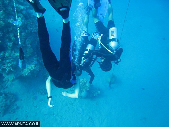    2  - APNEA -  , ,   - 017