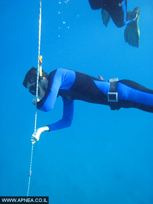    2  - APNEA -  , ,   - 019