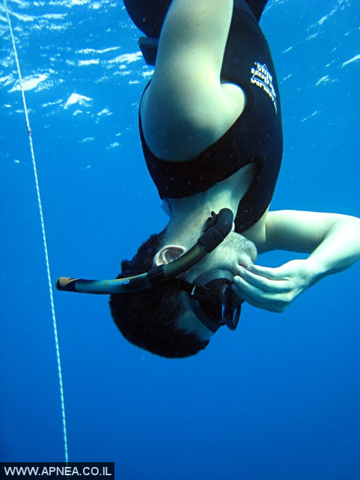    2  - APNEA -  , ,   - 022