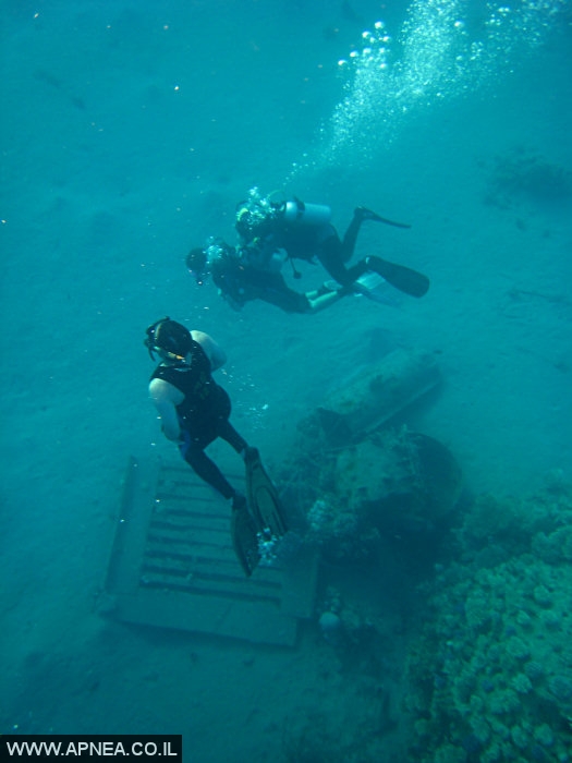   2  - APNEA -  , ,   - 025