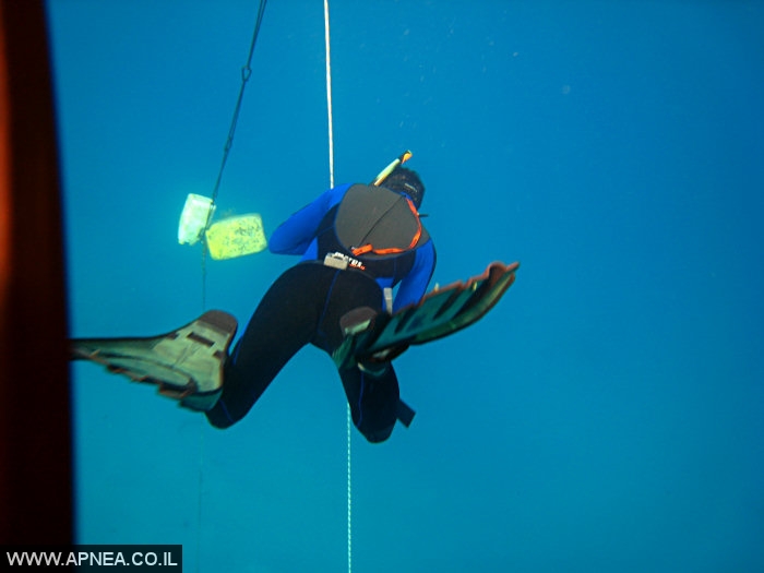    2  - APNEA -  , ,   - 003