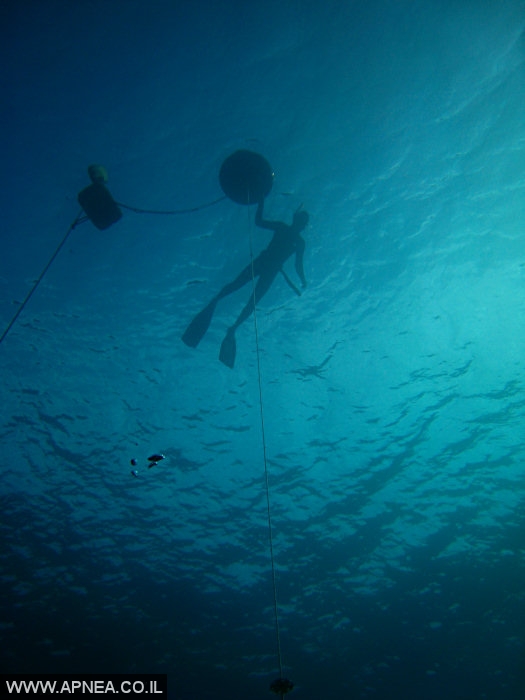    2  - APNEA -   - 011