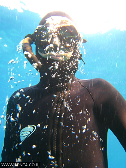    2  - APNEA -   - 022