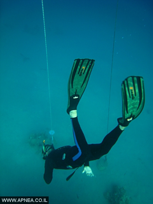    - APNEA  , ,   - 005