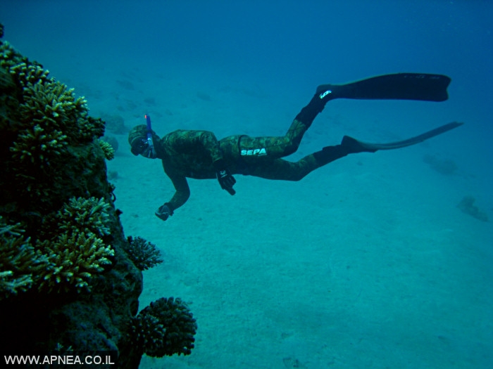    - APNEA -  , , ,   - 005
