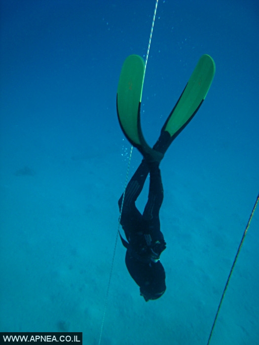    - APNEA -  , , ,   - 006