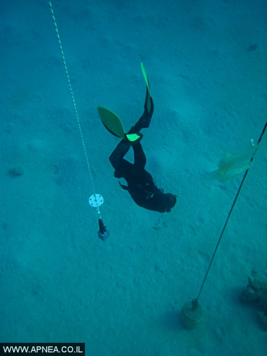    - APNEA -  , , ,   - 007
