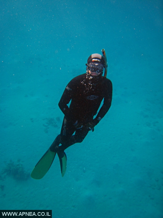    - APNEA -  , , ,   - 008
