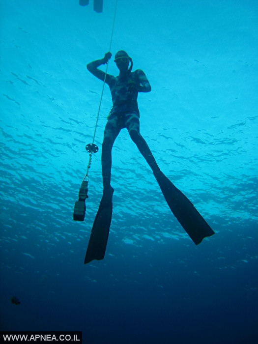    - APNEA -  , , ,   - 006