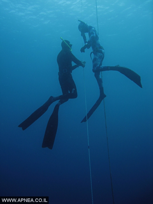    - APNEA -  ,   - 009