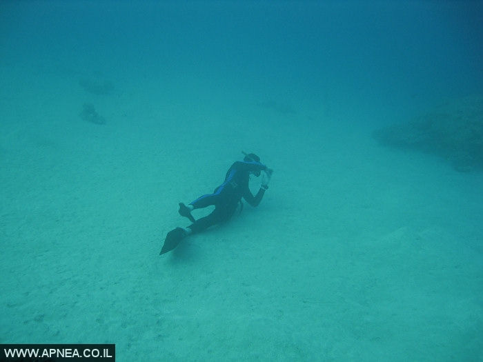    - APNEA -  , ,   - 011