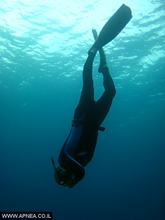    - APNEA -  , ,   - 020