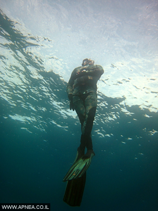    - APNEA -  ,   - 012
