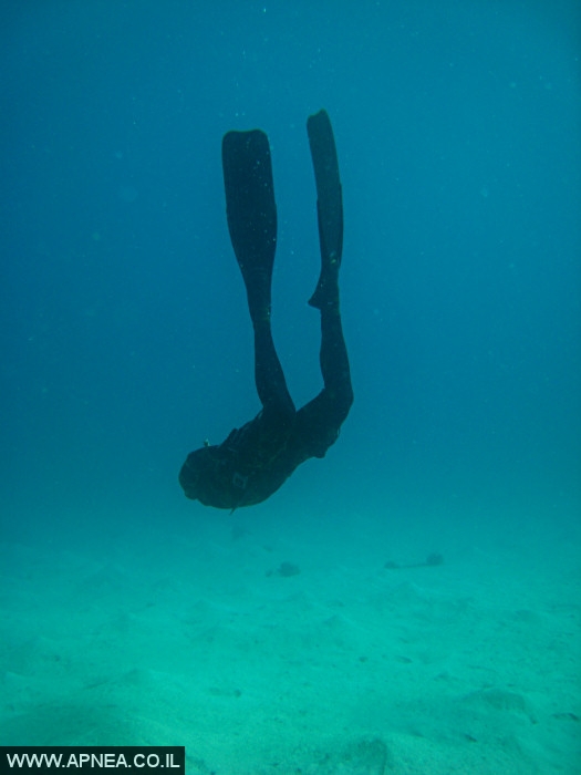    - APNEA -    - 008