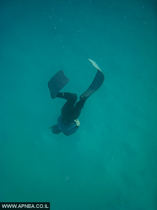    - APNEA -    - 021