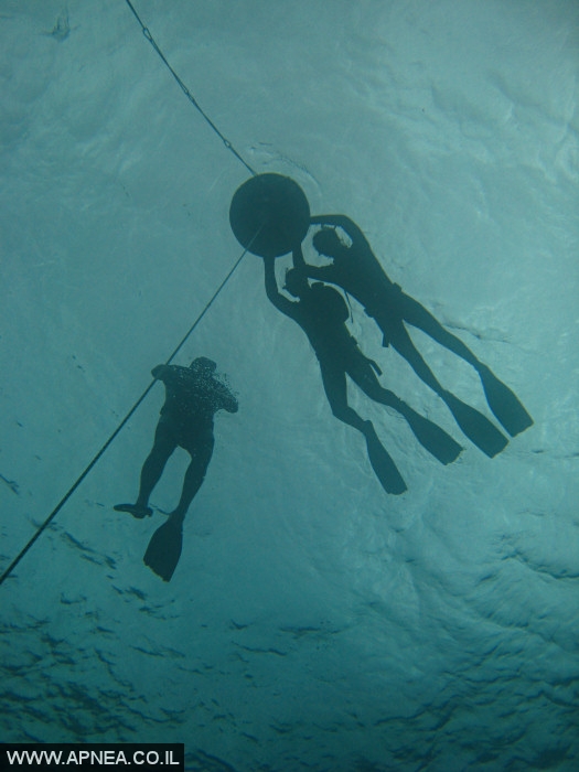    - APNEA -  ,   - 005