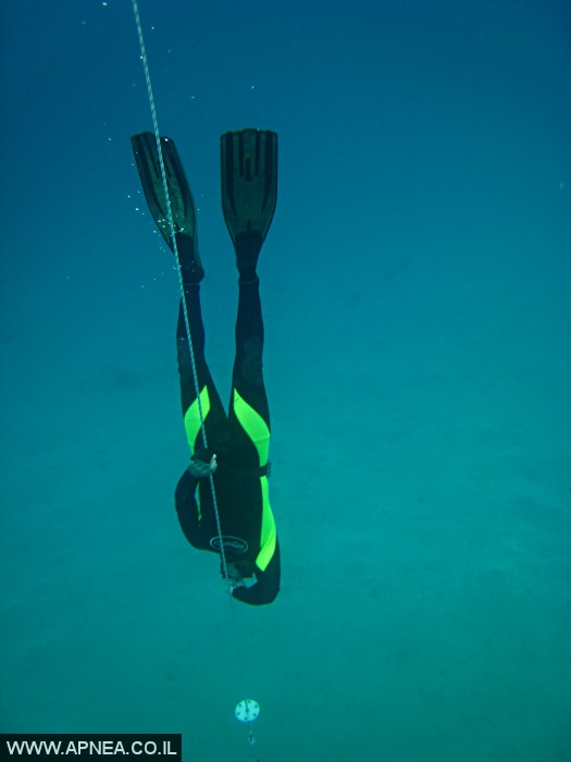    - APNEA -  ,   - 005