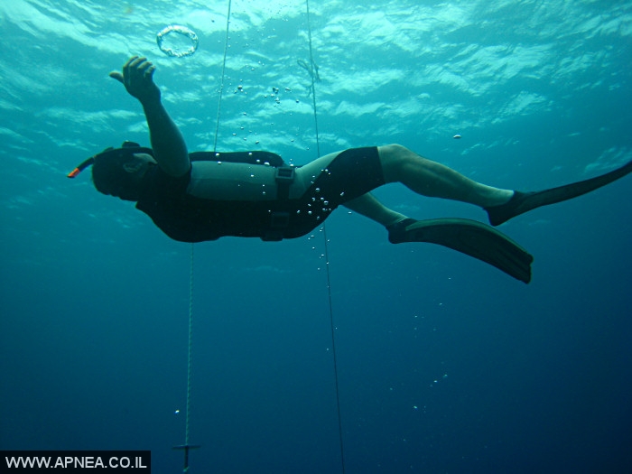    - APNEA -  ,   - 007