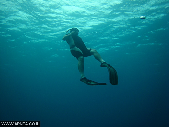    - APNEA -  ,   - 008