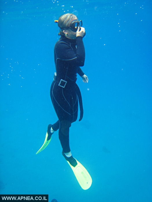    - APNEA -  , , ,   - 005