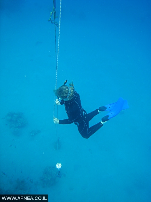   - APNEA -  , , ,   - 006