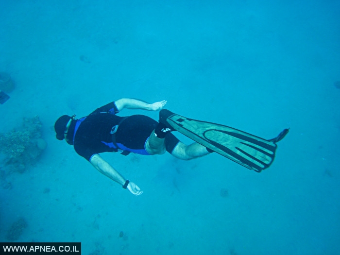    - APNEA -  , , ,   - 007