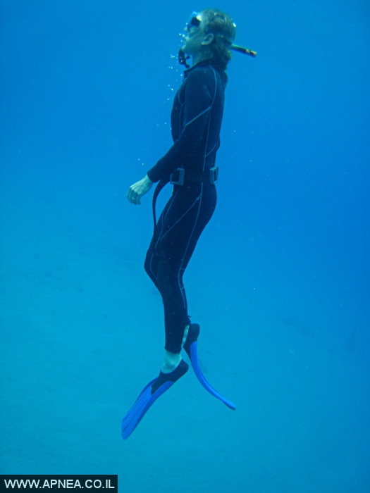    - APNEA -  , , ,   - 008