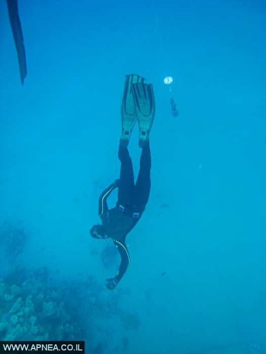    - APNEA -  , , ,   - 004