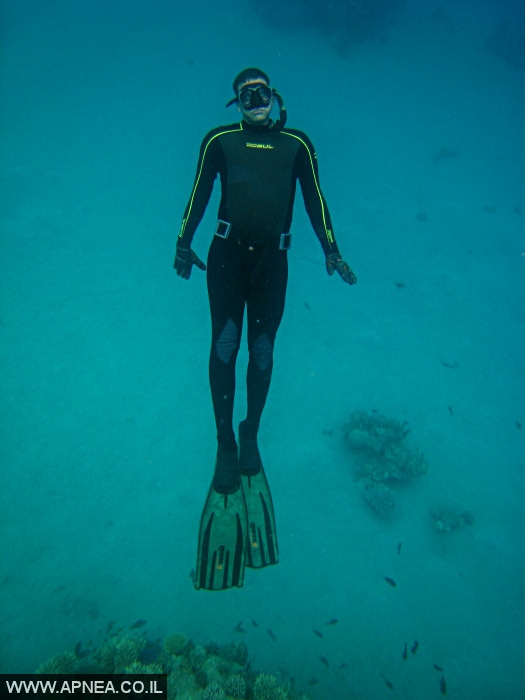    - APNEA -  , , ,   - 005