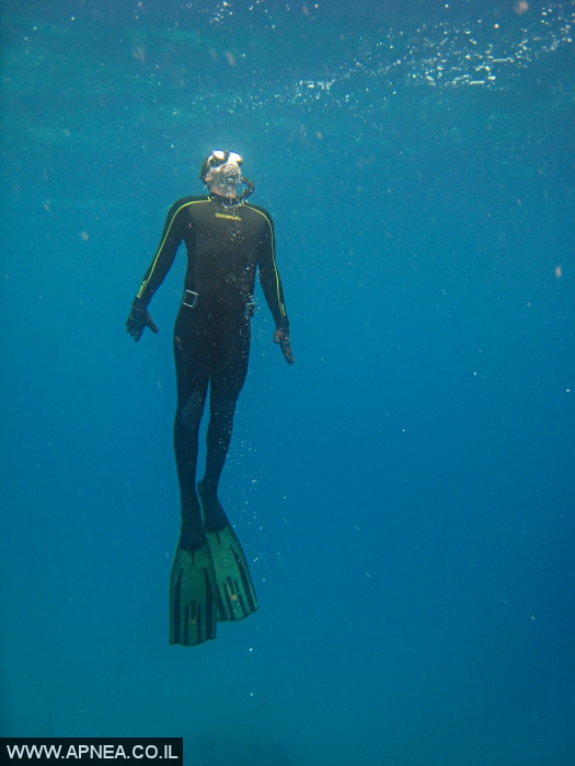    - APNEA -  , , ,   - 006