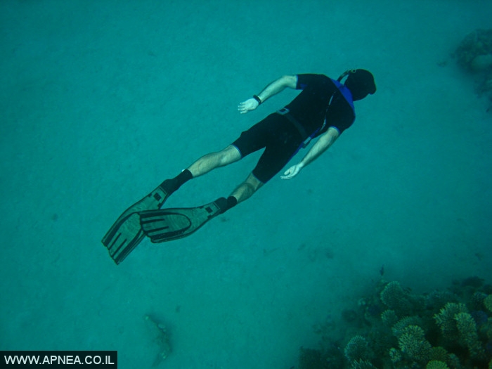    - APNEA -  , , ,   - 008