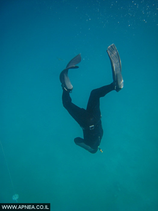    - APNEA -  , ,   - 009