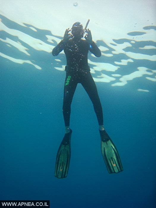    - APNEA -  , ,   - 004