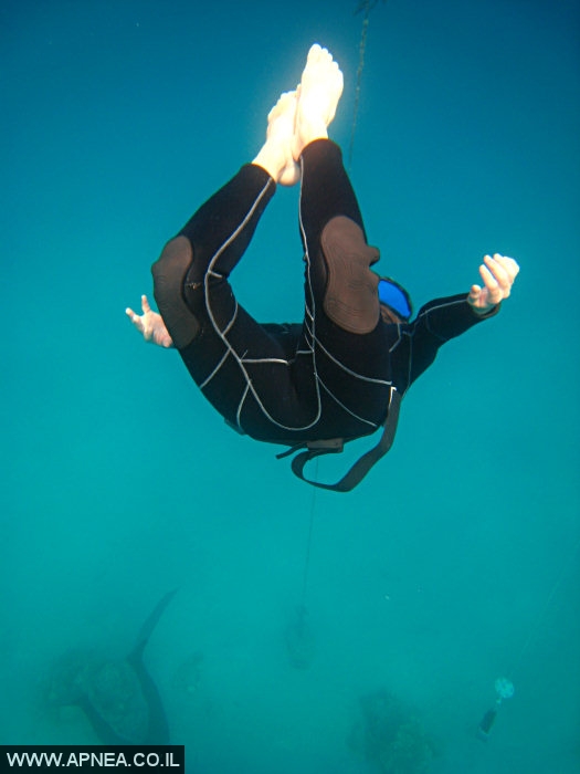    - APNEA -  , ,   - 006