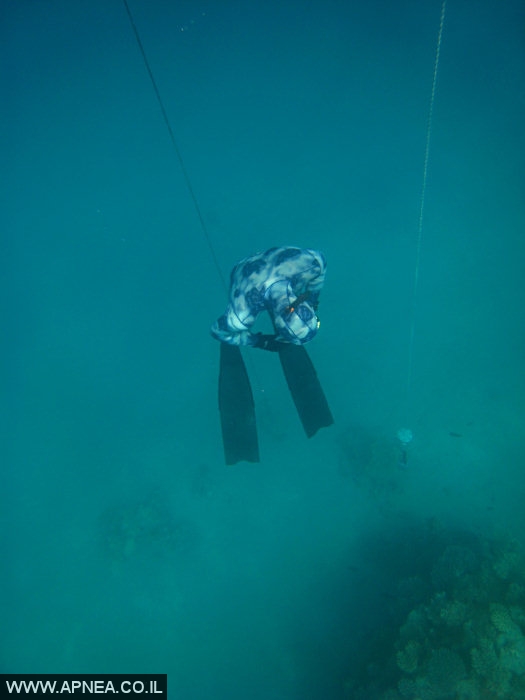    - APNEA -  , ,   - 008
