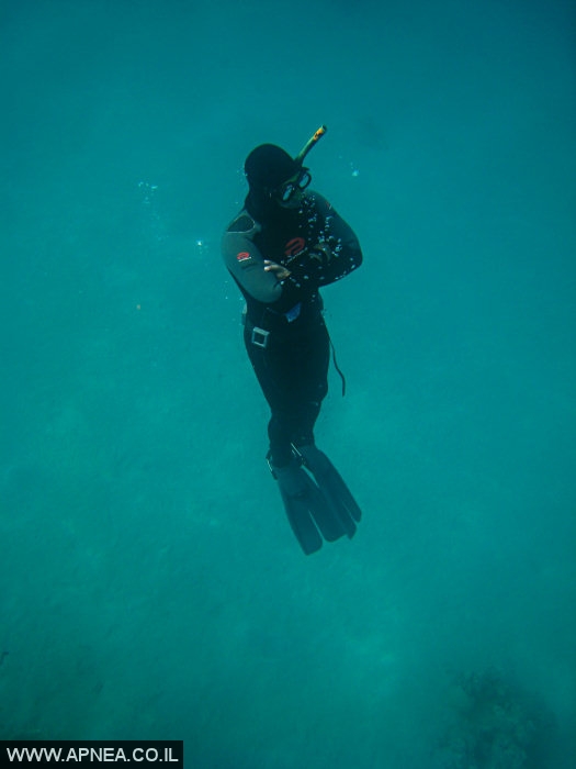    - APNEA -  , ,   - 024