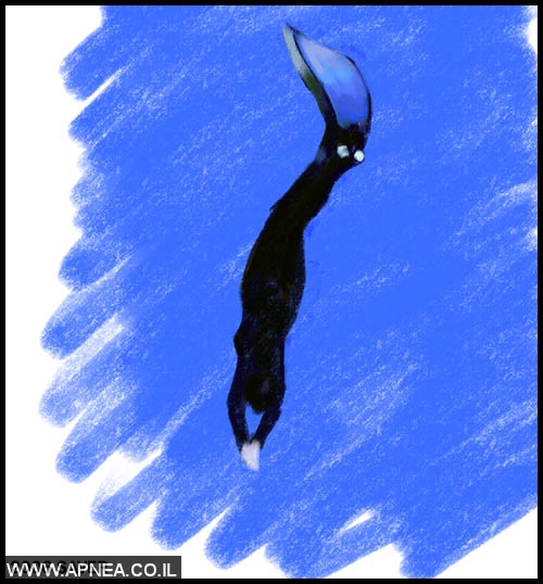  :    - 3