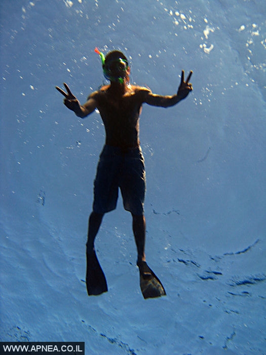  2009 - 010
