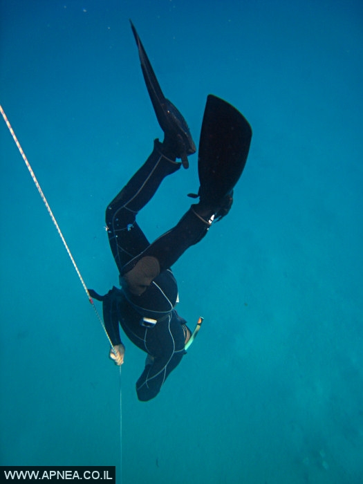    - APNEA -  , , ,   - 004