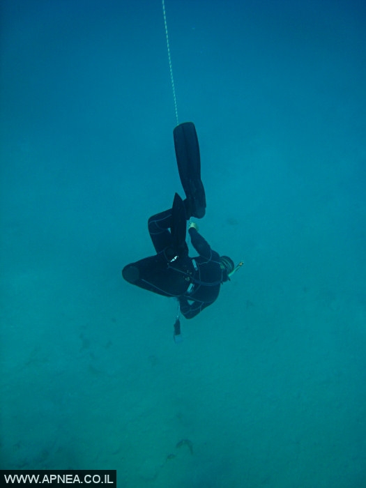    - APNEA -  , , ,   - 005