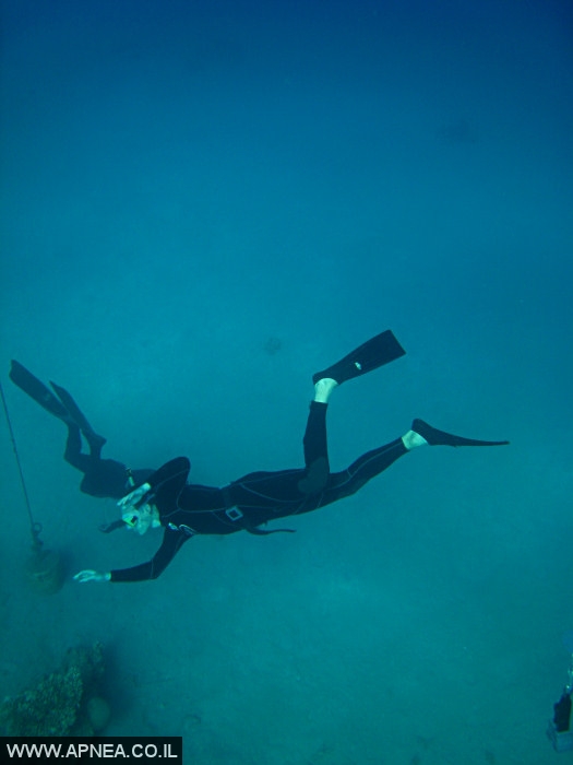    - APNEA -  , , ,   - 006