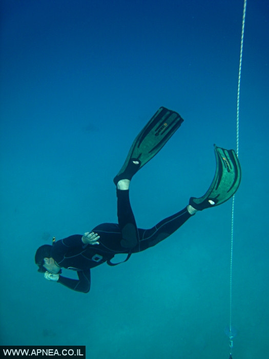    - APNEA -  , , ,   - 008